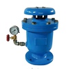 CARX compound exhaust (inlet) valve